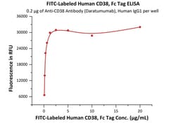ACROBiosystems FITC-Labeled Human CD38 Protein, Fc Tag, Quantity: Each