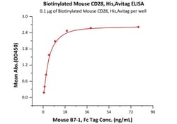ACROBiosystems Biotinylated Mouse CD28 Protein, His,Avitag, Quantity: Each
