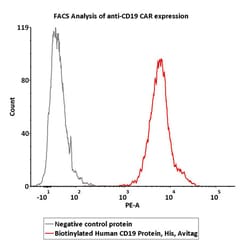 ACROBiosystems Biotinylated Human CD19 (20-291) Protein, His,Avitag (SPR