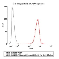 ACROBiosystems RECOMBINANT PROTEIN 25TESTS PE, Quantity: Each of 1