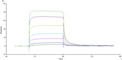 ACROBiosystems ACROBiosystems Human Fc gamma RIIIB / CD16b (NA2) Protein,