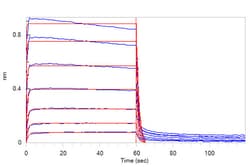 ACROBiosystems Human Fc gamma RIIB / CD32b Protein, SUMO,His Tag, Quantity: