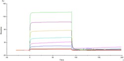 ACROBiosystems FCGAMMARIIIBHIS AVI 25UG, Quantity: Each of 1