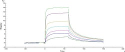 ACROBiosystems Human CD3 epsilon & CD3 delta Heterodimer Protein, His Tag&Tag