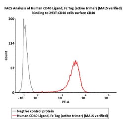 ACROBiosystems Human CD40 Ligand / TNFSF5 Protein, Fc Tag (active trimer)
