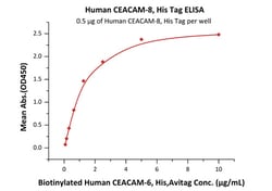 ACROBiosystems Recombinant Protein;Human CEACAM-8 / CD66b Protein;HEK293;1MG;CE8,CEACAM8,CEACAM-8,CEACAM