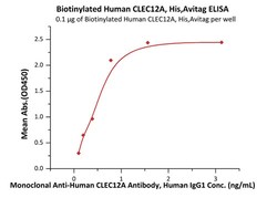 ACROBiosystems Biotinylated Human CLEC12A / MICL / CLL-1 Protein, His,Avitag,