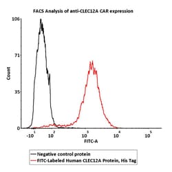 ACROBiosystems FITC-Labeled Human CLEC12A / MICL / CLL-1 Protein, His Tag,