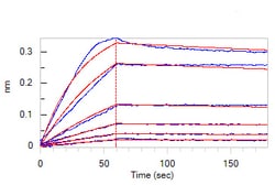 ACROBiosystems Human CTLA-4 / CD152 Protein, His Tag, active dimer (MALS