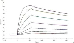 ACROBiosystems Biotinylated Human CTLA-4 Protein, His,Avitag (MALS verified),