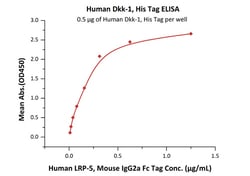 ACROBiosystems Recombinant Protein;Human Dkk-1 Protein;HEK293;100UG;DK1,DKK1,DKK-1,SK,