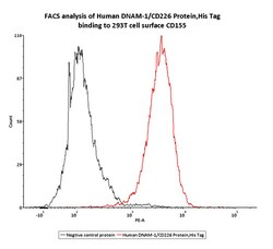 ACROBiosystems Human DNAM-1 / CD226 Protein, His Tag, Quantity: Each of