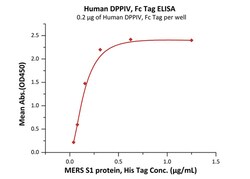 ACROBiosystems Recombinant Protein;Human DPPIV / CD26 Protein, Fc Tag;HEK293;1MG;DP4,DPP4,DPP-4,ADABP,ADCP2,ADCP-2,CD26,CD-26,DPPIV,DPPⅣ,TP103,TP-103,