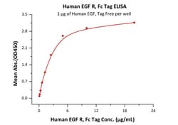ACROBiosystems Recombinant Protein;Human EGF R Protein, Fc Tag;HEK293;1MG;EGR,EGFR,EGF