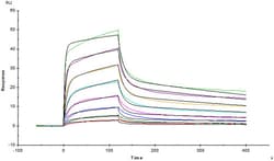 ACROBiosystems ACROBiosystems Mouse EGF R Protein, His Tag, Quantity: Each