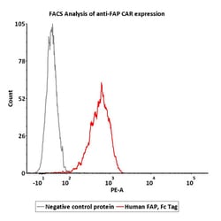 ACROBiosystems Human FAP Protein, Fc Tag, Quantity: Each of 1