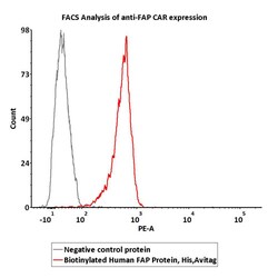 ACROBiosystems Biotinylated Human FAP Protein, His,Avitag, Quantity: Each
