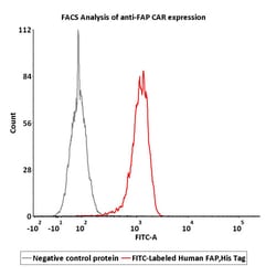 ACROBiosystems FITC-Labeled Human FAP Protein, His Tag, Quantity: Each