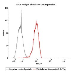 ACROBiosystems FITC-Labeled Human FAP Protein, Fc Tag, Quantity: Each of