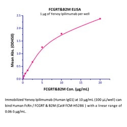 ACROBiosystems Recombinant Protein;Human FcRn / FCGRT HEK293;50UG;FCM,FcRN,FCGRT