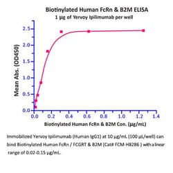 ACROBiosystems Recombinant Protein;Biotinylated Human FcRn / FCGRT HEK293;25UG;FCM,FcRN,FCGRT