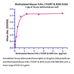 ACROBiosystems Recombinant Protein;Biotinylated Mouse FcRn/FCGRT );HEK293;25UG;FCM,FcRN,FCGRT
