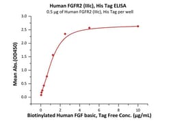ACROBiosystems Human FGF R2 (IIIc) protein, His Tag (MALS verified), Quantity: