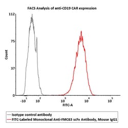 ACROBiosystems FITC-Labeled Monoclonal Anti-FMC63 scFv Antibody, Mouse