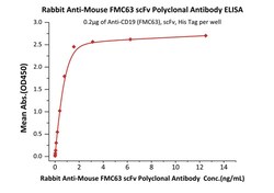 ACROBiosystems Rabbit Anti-Mouse FMC63 scFv Polyclonal Antibody (recommended