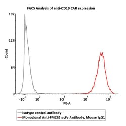 ACROBiosystems Monoclonal Anti-FMC63 scFv Antibody, Mouse IgG1 (Y45) (HEK293),
