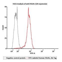 ACROBiosystems FITC-Labeled Human FOLR1 Protein, His Tag, Quantity: Each