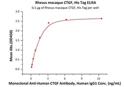 ACROBiosystems Rhesus macaque CTGF / CCN2 Protein, His Tag, Quantity: Each