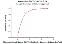ACROBiosystems Cynomolgus GUCY2C / Guanylyl cyclase C Protein, His Tag,