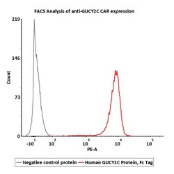 ACROBiosystems Human GUCY2C / Guanylyl cyclase C Protein, Fc Tag, Quantity: