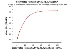 ACROBiosystems Biotinylated Human GUCY2C / Guanylyl cyclase C Protein,