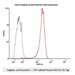 ACROBiosystems FITC-Labeled Human GUCY2C / Guanylyl cyclase C Protein,