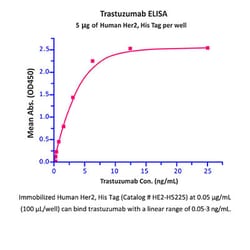 ACROBiosystems Recombinant Protein;Human Her2 / ErbB2 Protein;HEK293;1MG;HE2,ERBB2,CD340,HER-2,HER-2/neu,HER2,MLN19,NEU,NGL,TKR1,ERBB-2,MLN-19,TKR-1,