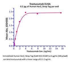 ACROBiosystems ACROBiosystems Human Her2 / ErbB2 Protein, Strep Tag, Quantity: