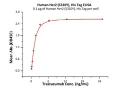 ACROBiosystems Human Her2 / ErbB2 (S310Y) Protein, His Tag (MALS verified),