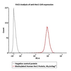 ACROBiosystems Recombinant Protein;Biotinylated Human Her2 / ErbB2 Protein,