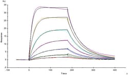 ACROBiosystems Recombinant Protein;Human IL-13 R alpha 1 Protein;HEK293;1MG;IL1,IL13RA1,CD213A1,IL-13Ra,NR4,RP13-128O4.2,IL13Rα1,Interleukin,