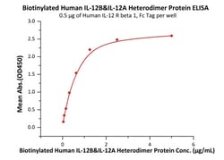 ACROBiosystems Biotinylated Human IL-12B &Flag Tag, Quantity: Each of 1