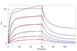 ACROBiosystems ACROBiosystems Biotinylated Human IL-2 R beta / CD122 Protein,
