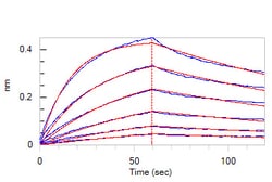 ACROBiosystems ACROBiosystems Human IL-23 alpha & Mouse IL-12 beta Heterodimer