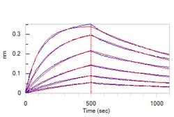 ACROBiosystems Human IL-17F / IL-24 Protein, His Tag, Quantity: Each of