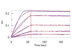 ACROBiosystems Human IL-7 R alpha&TSLP R Heterodimer Protein, Fc Tag&Fc