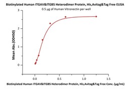 ACROBiosystems Biotinylated Human Integrin alpha V beta 5 (ITGAV &Tag Free,