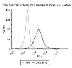 ACROBiosystems Human LAG-3 / CD223 Protein, Mouse IgG2a Fc Tag, Quantity:
