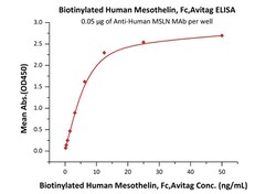 ACROBiosystems Recombinant Protein;Biotinylated Human Mesothelin / MSLN