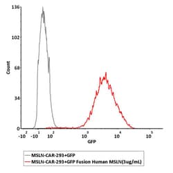 ACROBiosystems ACROBiosystems GFP Fusion Human Mesothelin / MSLN (296-580)